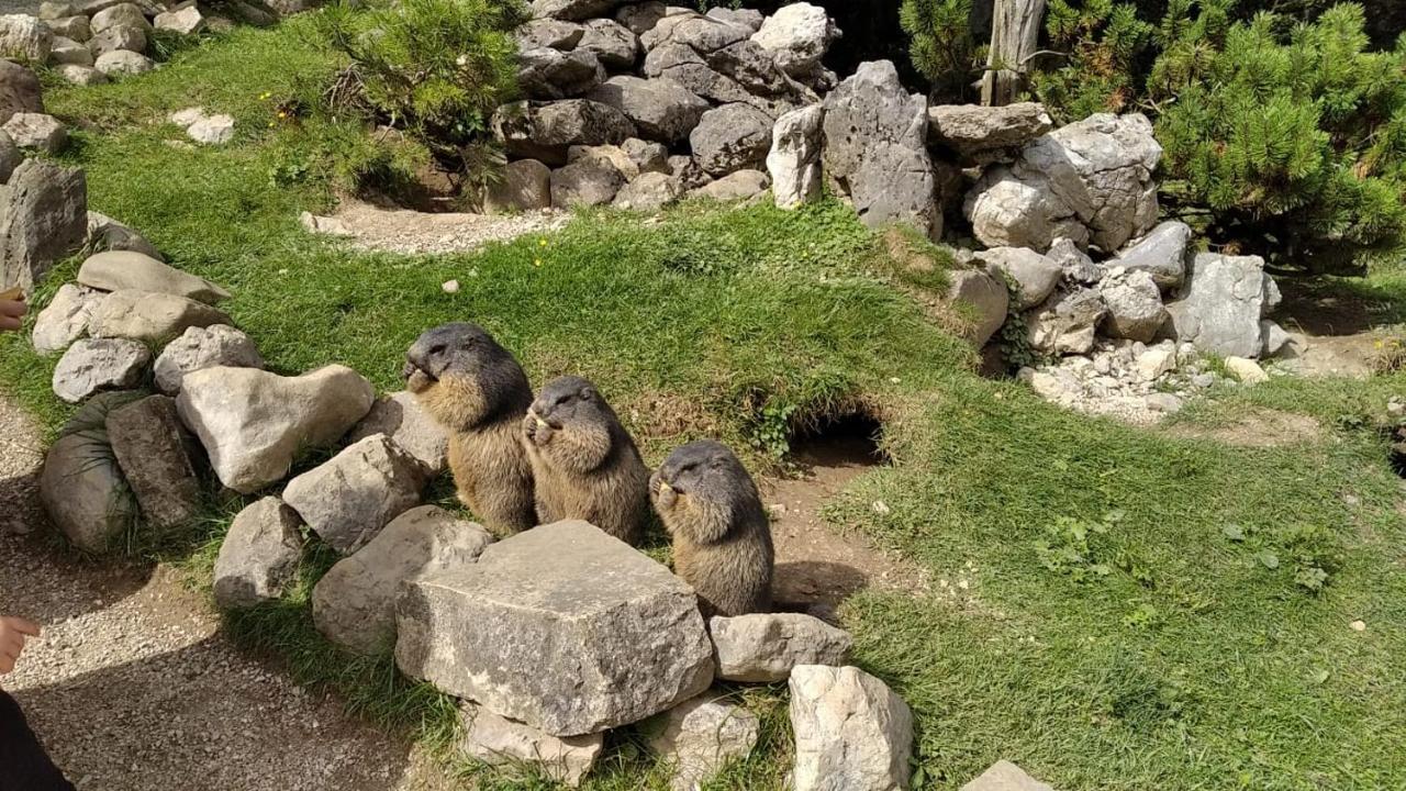 Ferienwohnung Maria-Wies Schönau am Königssee Dış mekan fotoğraf